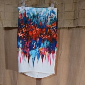 Bisou Bisou Red Orange Asymmetrical Pencil Skirt Set